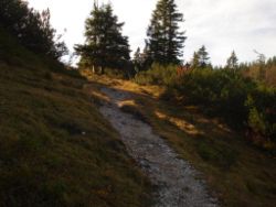 2013-10-26_Schildenstein (263).JPG